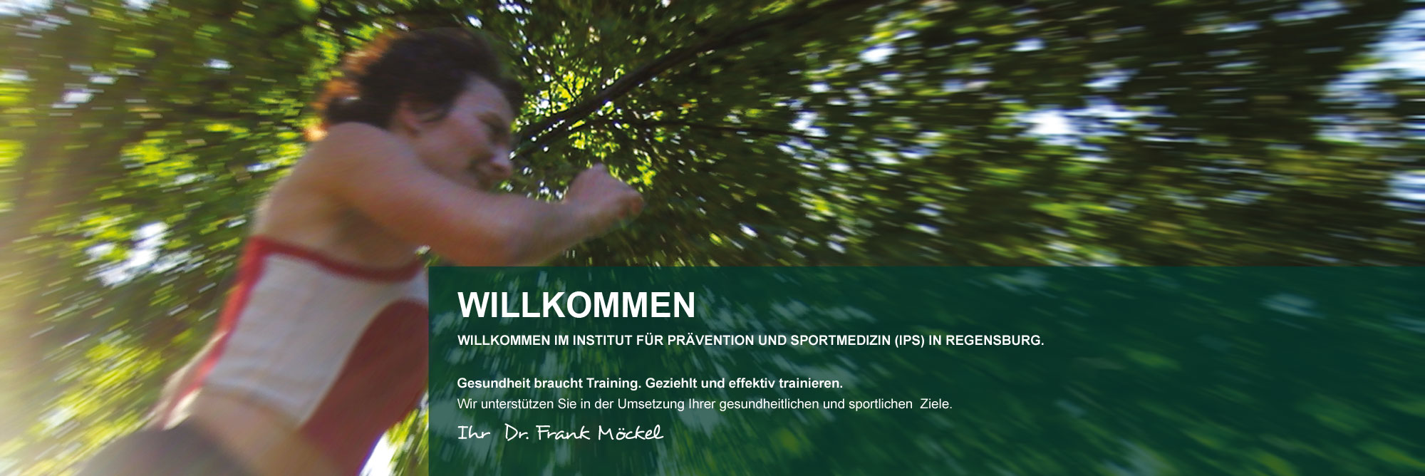 Header IPS M&ouml;ckel